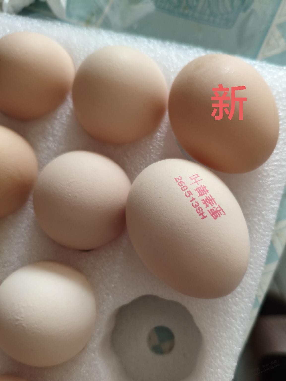 帖子图片
