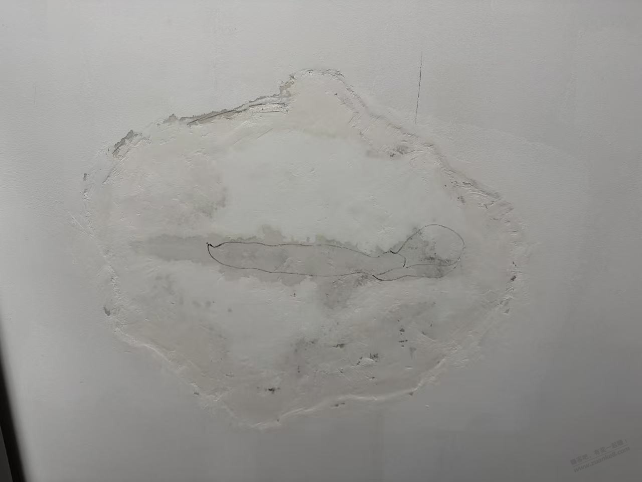 帖子图片